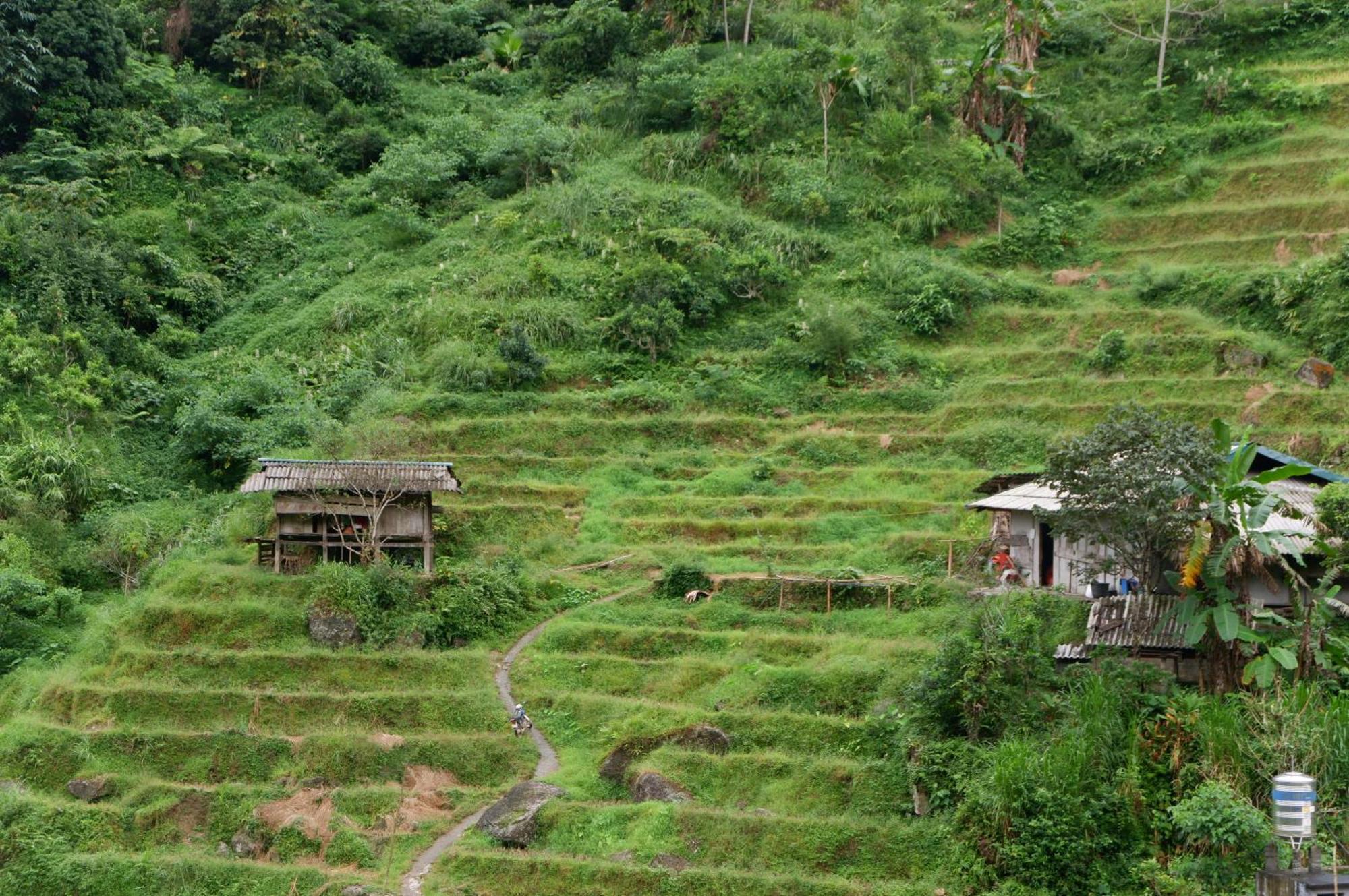 Bikki'S Jungle Homestay Hà Giang Zewnętrze zdjęcie