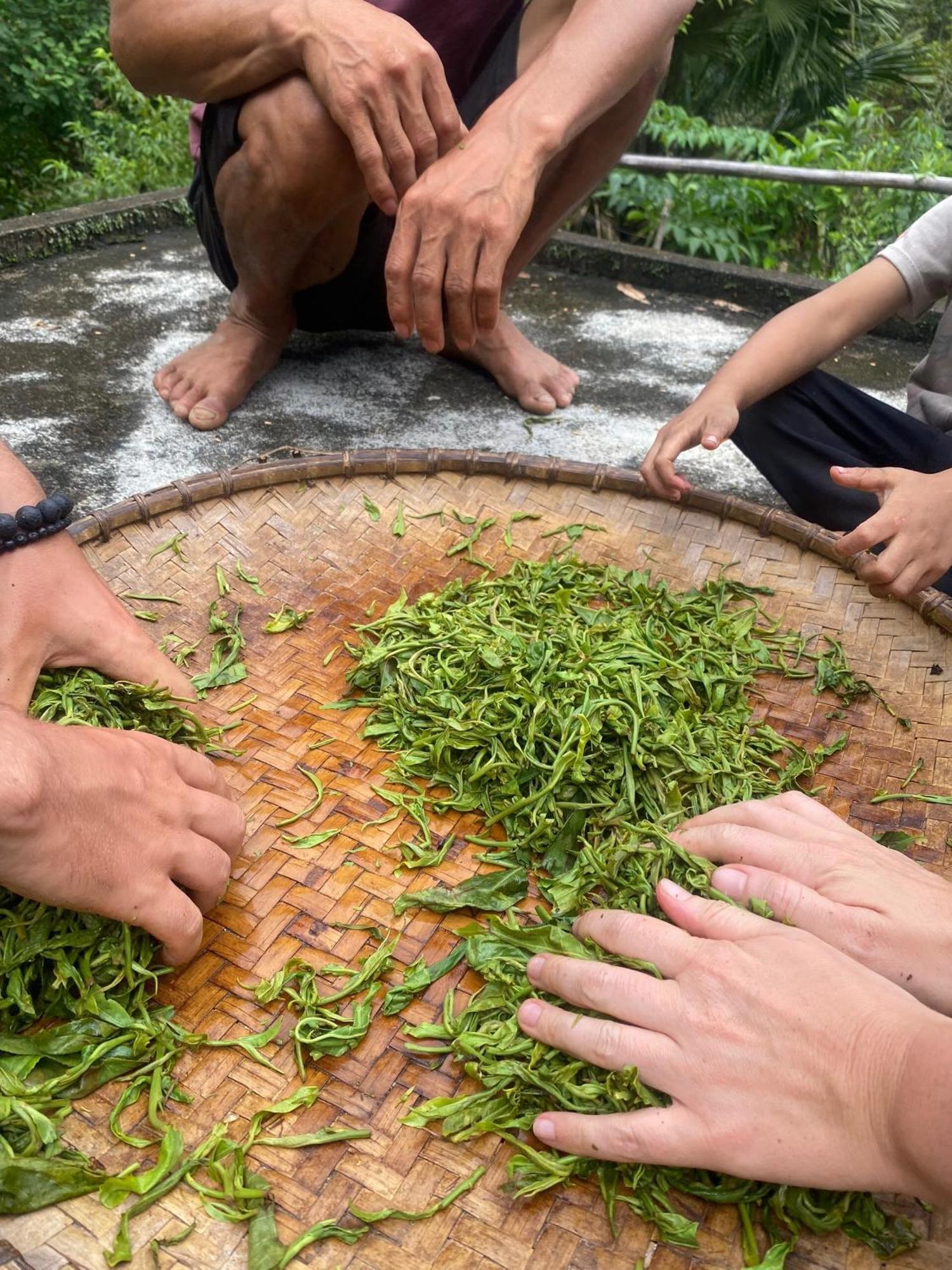 Bikki'S Jungle Homestay Hà Giang Zewnętrze zdjęcie
