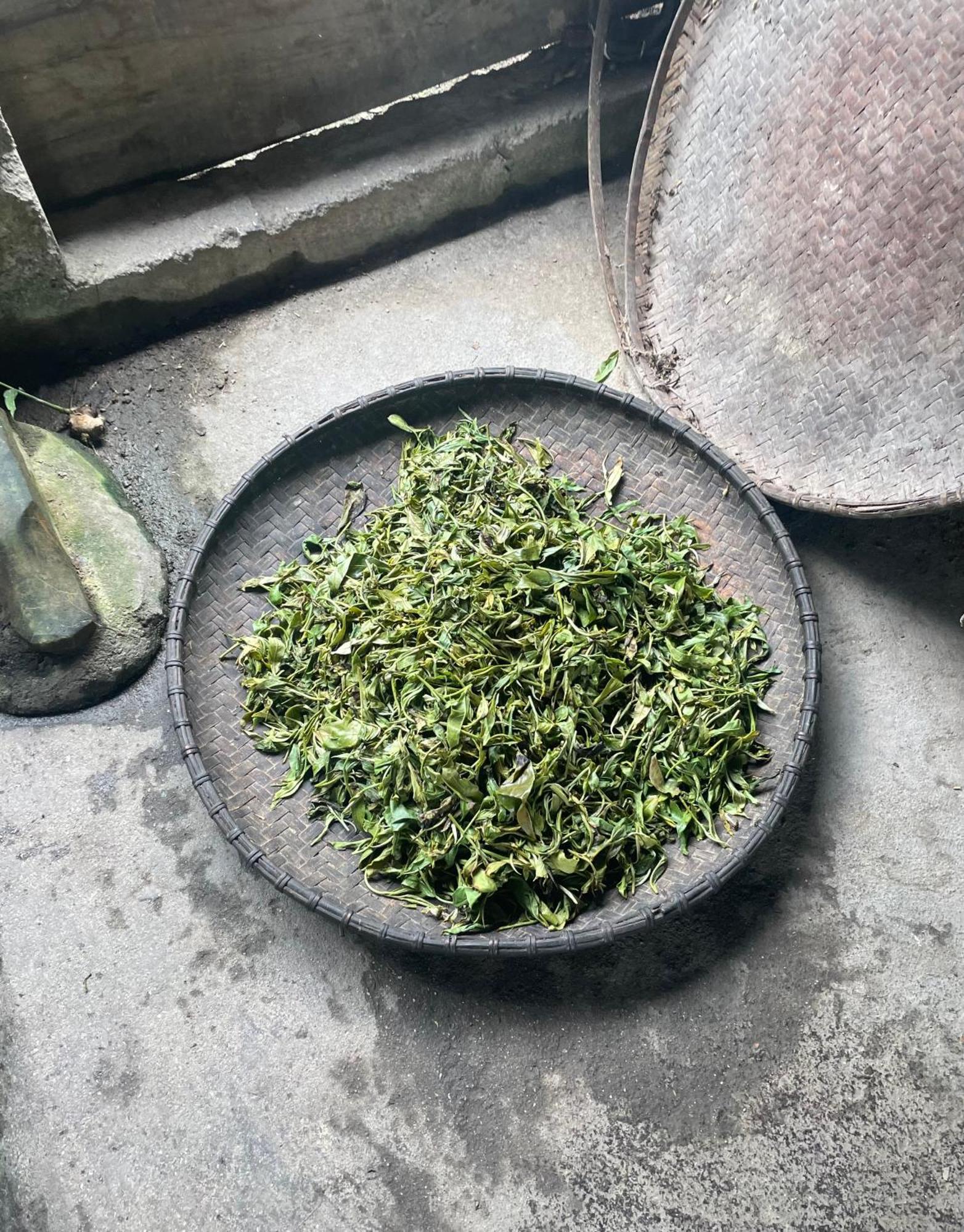 Bikki'S Jungle Homestay Hà Giang Zewnętrze zdjęcie